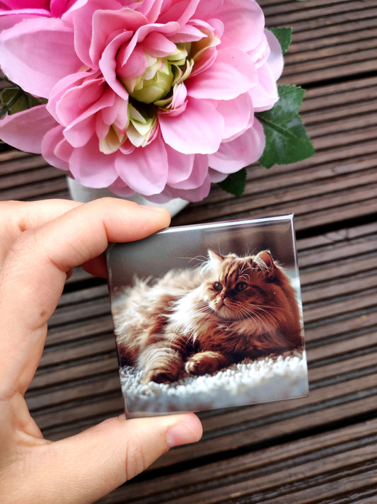 Personalisierte quadratische Fotomagnete 65×65 mm – Set 6 Stück