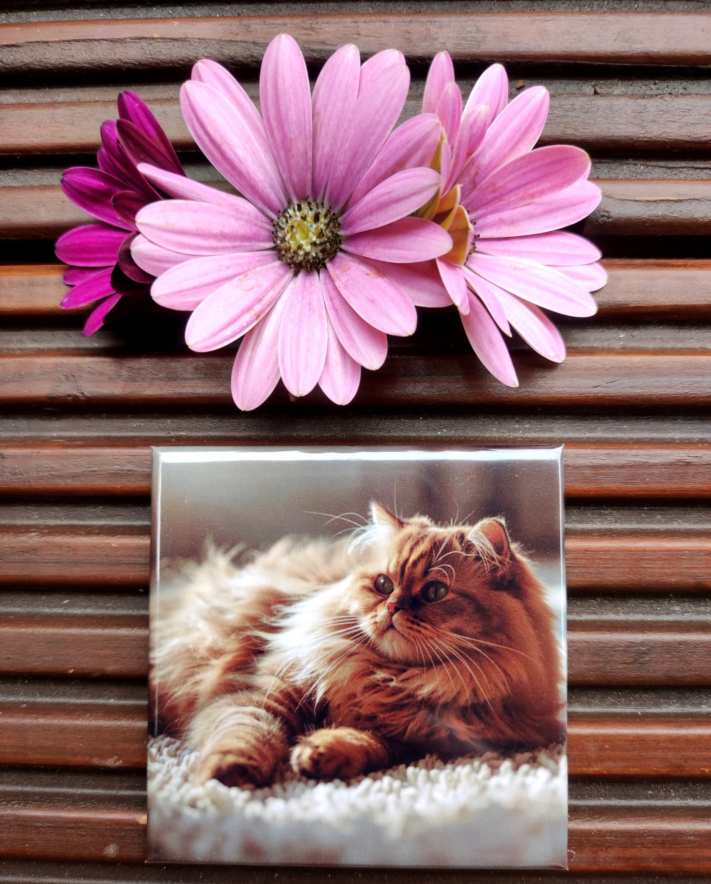 Personalisierte quadratische Fotomagnete 65×65 mm – Set 6 Stück